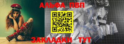 шишки Абакан