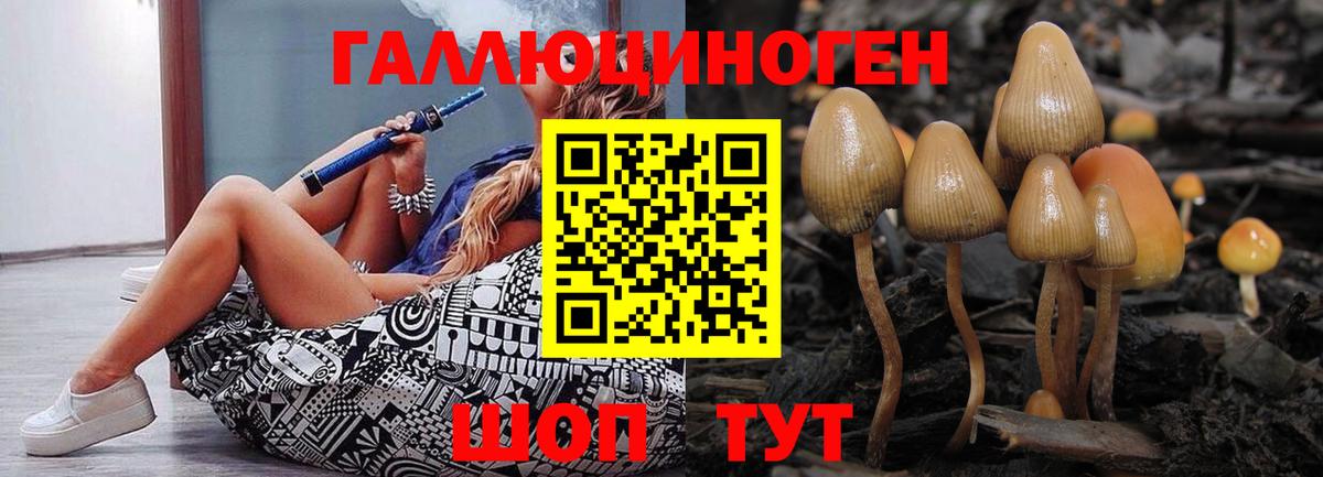 Псилоцибиновые грибы MAGIC MUSHROOMS  Вход с VPN  Альметьевск  Псилоцибиновые грибы прущие грибы 